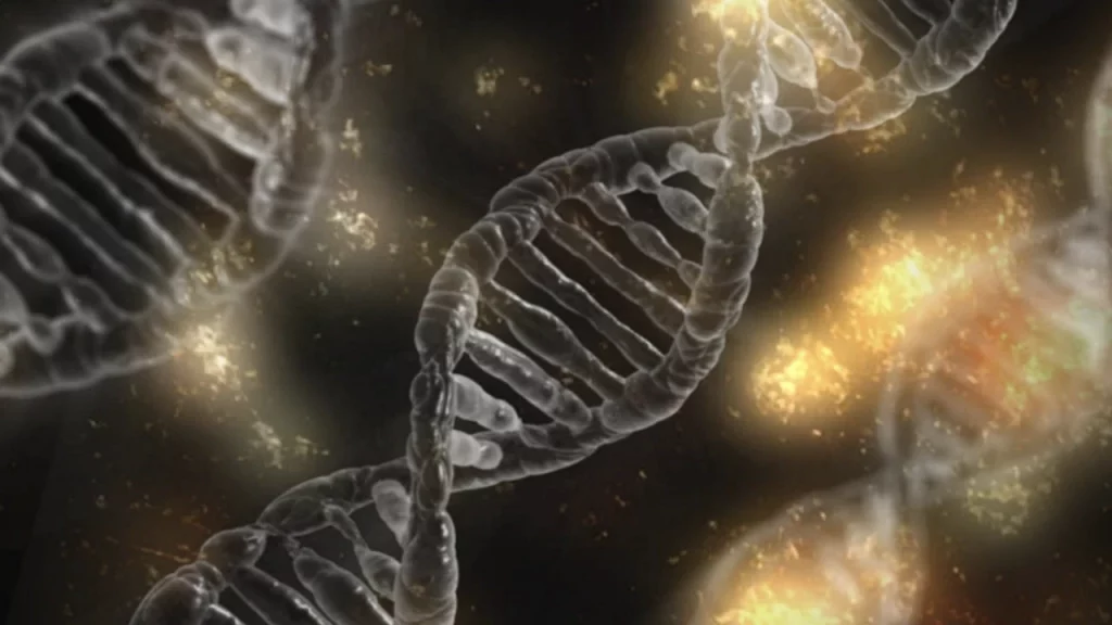 La mémoire cellulaire - l'ADN