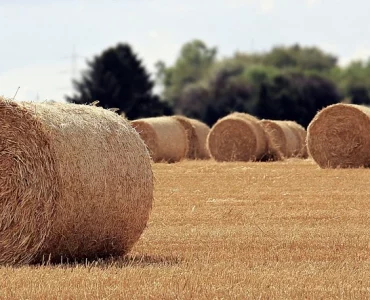 Être uni devenu dém-uni