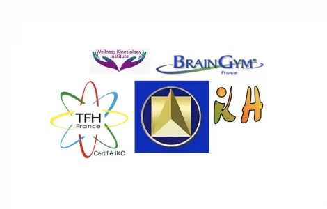 La kinésiologie et ses nombreux contributeurs