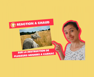 Réaction à froid et à chaud sur la destructions des menhirs de Carnac